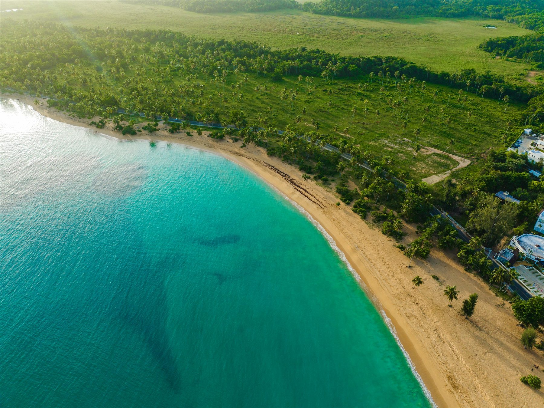 Beach and coastal vegetation in Las Terrenas, Dominican Republic
